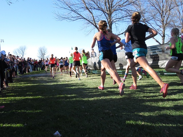 Cross country runners on grass